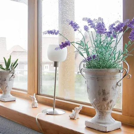 Appartement Moin-moin In Friedrichskoog-spitze By Interhome