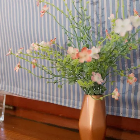 Moin-moin In Friedrichskoog-spitze By Interhome * Friedrichskoog-Spitz